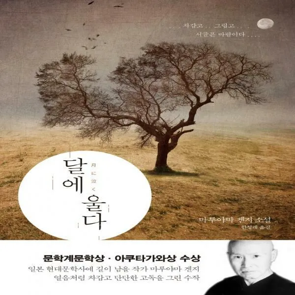 달에 울다:마루야마 겐지 소설, 자음과모음