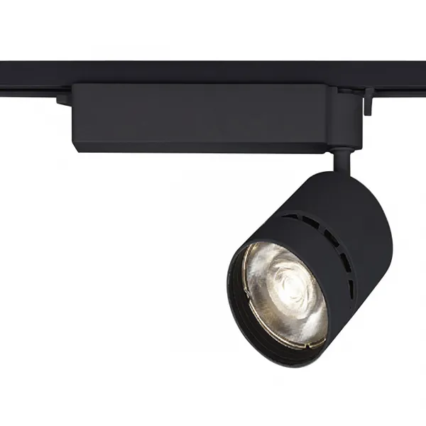 東芝ライテック スポットライト2000 黒塗 LEDS-20111WK-LS1【受注生産品】 토시바 라이텍 스포트 라이트 2000 블랙 도장 LEDS-20111WK-LS1 【수주 생산품], 1