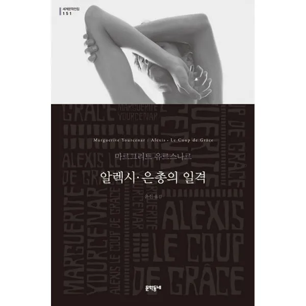 알렉시.은총의 일격 (반양장), 문학동네
