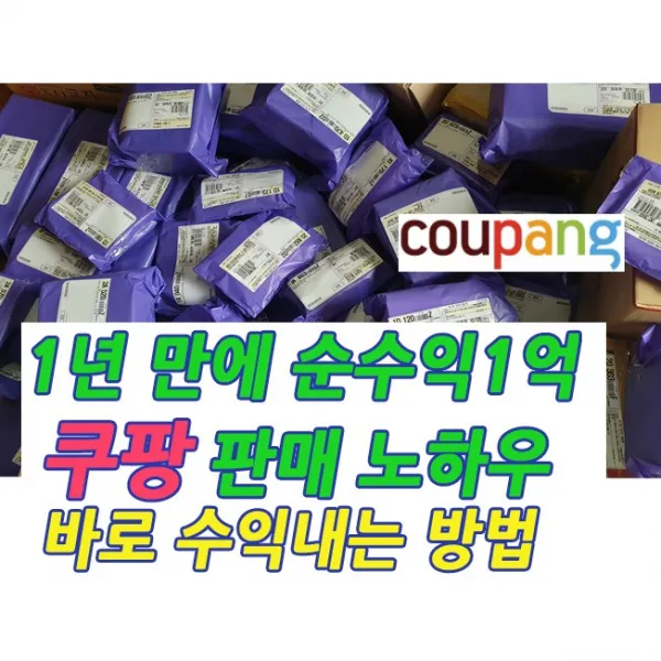 1년만에 순수익 1억 벌게한 노하우 알려드립니다. (빠른 발송 + PDF 전자책), 2억벌게한 도매사이트 450개와 판매 노하우