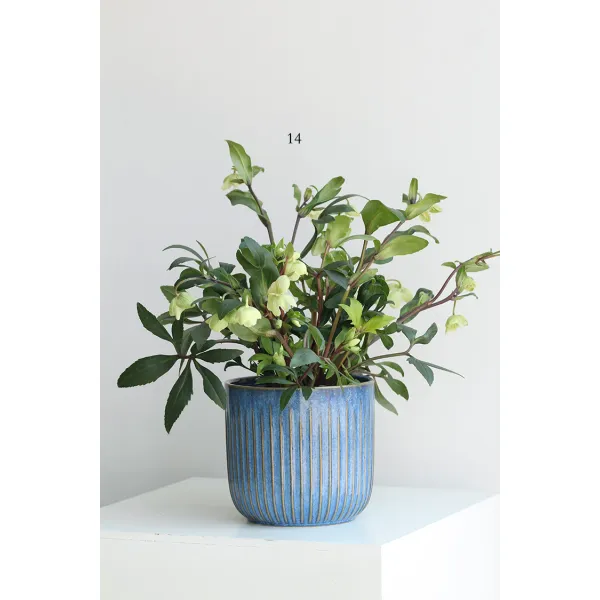 어반30 북유럽 인테리어 세라믹 화분 WuushStore0501노르딕, 이 시리즈에는 모두 밑구멍이 있다