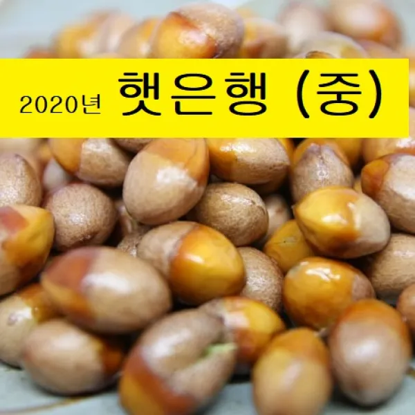 박경철농장 깐은행 중 1kg 1개