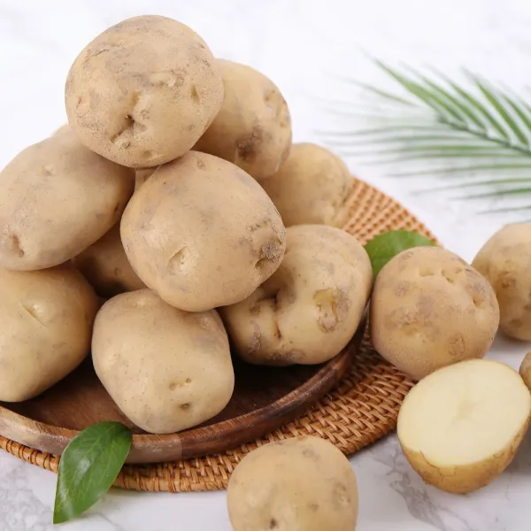 경북 고령 포슬포슬 개진감자 5kg 대 (100g이상-160g미만), 단품