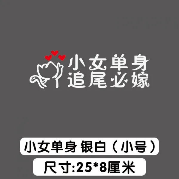 에스앤피 나이 먹은 것이다 여성 추돌 시집가다 차량용 장가들다 자동차 젊은남자 소녀 독신자 정국, 소녀 독신 실버화이트 （스몰자 ）