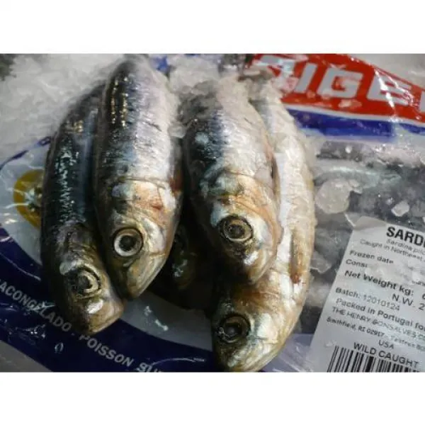 Sardines Whole Wild Caught Frozen 8 Lb. 정어리 전체 야생 잡은/8963330, 상세내용참조