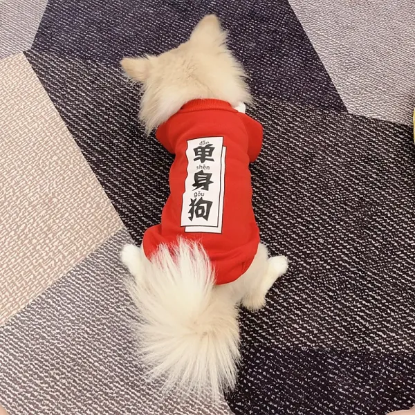 Jan.12 235번 고양이 옷 가을 겨울 두꺼운 애완 고양이 옷 고양이 옷 아기 고양이 옷 남색 고양이 가피 고양이 옷 가을 겨울Z, 독신자 개