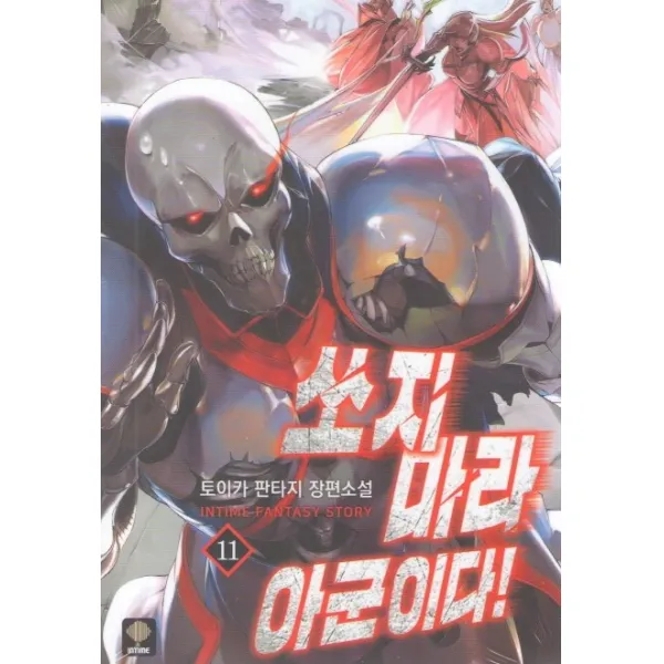 쏘지마라 아군이다. 11:토이카 판타지 장편소설, 인타임