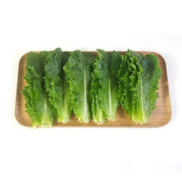 채소파는가게 로메인 상추 샐러드, 1팩, 300g