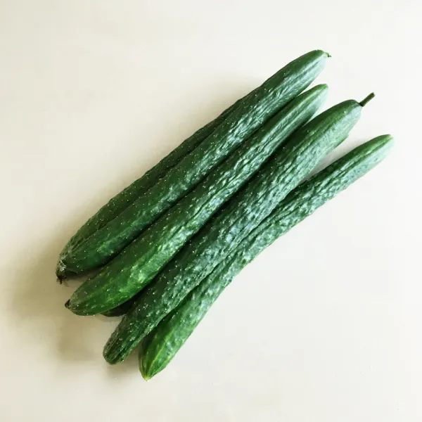 개미마켓 (7-9kg내외) 국산 한박스 오이지 장아찌 냉국 가시 못난이 오이, 1박스, 10kg(7-9kg)