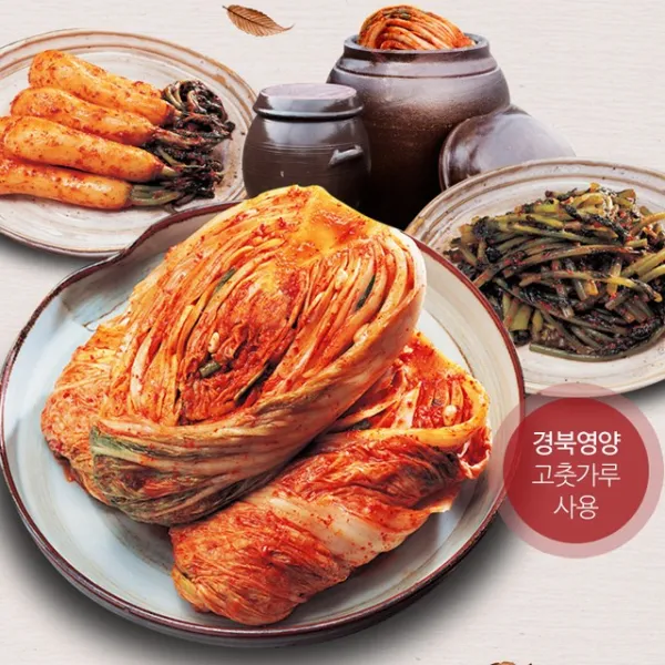 본향 포기김치 배추김치 국내산 우리 농산물 사용 1팩 3kg