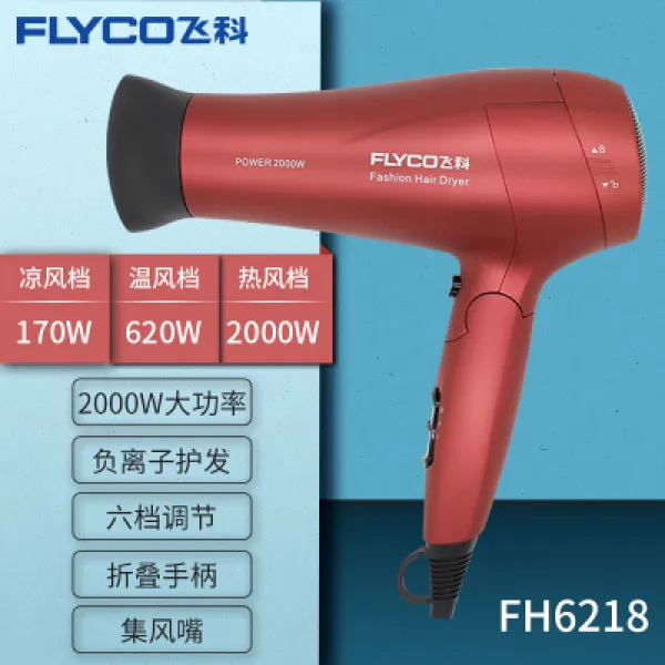 비과 가정용 고출력 폴딩 춥다 열풍 머리를보호 머리상하지 않는 소음방지 전기 Fh6218 중국홍 있음 2000