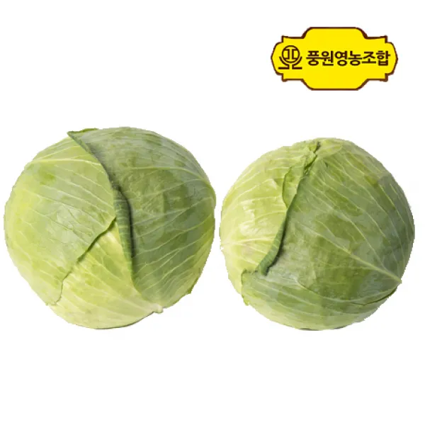 풍원영농조합법인 양배추, 1개, 4kg