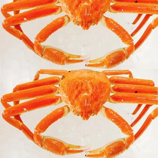 러시아산 특A 자숙(찜) 대게 스노우크랩 활 대게 동해 죽변 속초 홍게 박달대게, 2kg
