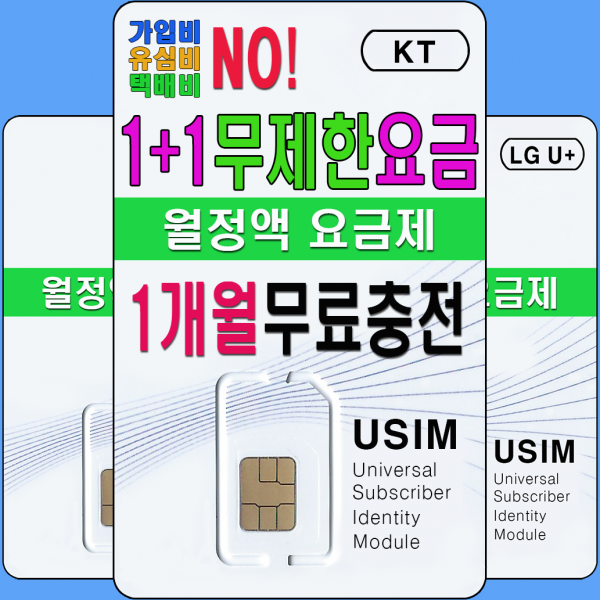 선불폰대장 KT 선불유심 무제한요금제 월정액 1+1 무료충전 유심개통, 1+1 선불 데이터 안심 300M, 1개