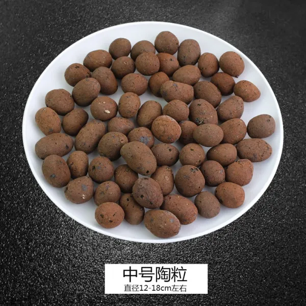 도립 난초 원예 표면 가게 석 내막 배기 투수다 150g, (12-18mm)200g