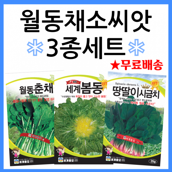 주주씨앗 월동채소씨앗 3종세트 노지월동씨앗 종자 봄동 월동시금치 월동춘채 겨울초 포항초 섬초 동초