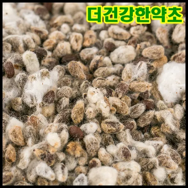 국산 목화씨 면화자 600g 목화솜 목화씨앗 목화씨차 말린목화씨 건강차 전통차 한방차 한약재료, 16GE_단일옵션