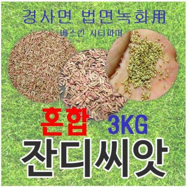 [법면 경사면용] 혼합양잔디씨앗 3kg 약30평 무료배송/발아율 80%이상/잔디 잔디씨 양잔디씨 잔디씨앗 법면녹화 사방공사용