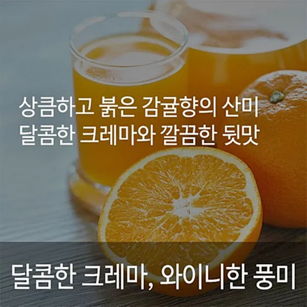 코스타리카따라쥬1kg 상큼하고 밝은 감귤향의 산미 원두커피 깔끔한 뒷맛 커피 애호가 추천, 홀빈(원두상태)