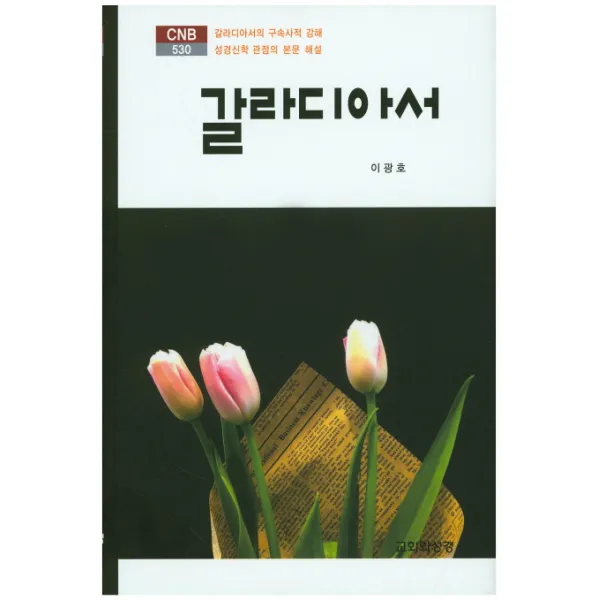 갈라디아서:갈라디아서의 구속사적 강해, 성경신학 관점의 본문 해설, 교회와성경