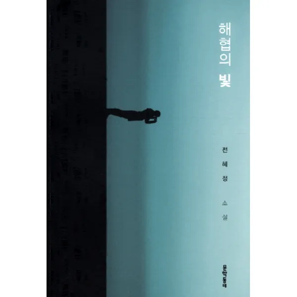 해협의 빛:전혜정 소설, 문학동네