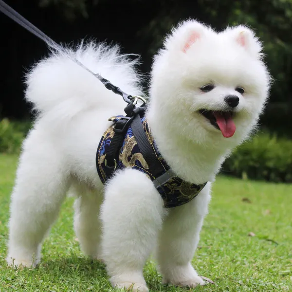 강아지용품 강아지 애견목줄 조끼스타일 소형견 포메라니안 리드줄 푸들 애완동물 개줄 여름 용품 T22 사각형 네이비 용문 데님 1.5베이지 편승 C02 S3 5