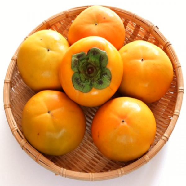 [품질평가 대상 수상] 햇 단감 대과 특대과 5kg 10kg 창녕 태추단감 배단감 진영단감 부유단감, 특상품 5kg, 1개
