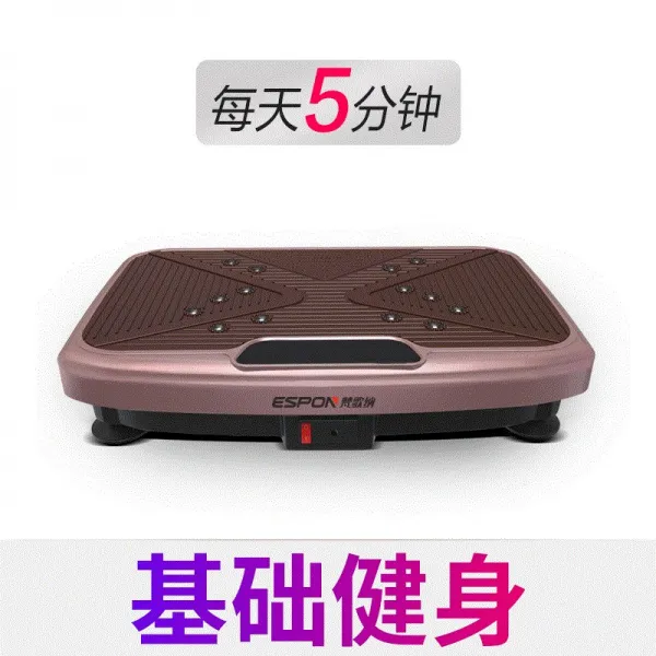 진동운동기 벨트맛사지기 기 운동 진동 가정용 스탠드형 날씬한 덜덜이 흔들흔들 헬스기계, T05-헬스 베이직타입