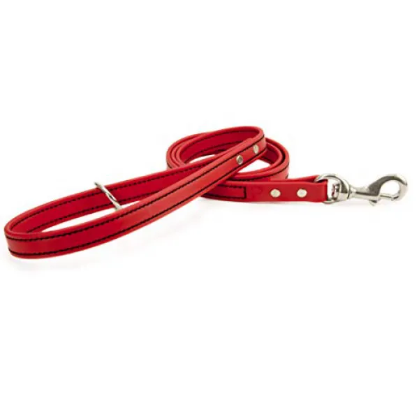 PACKT Loyal Love Red Dog Leash - Giving Back to Animals in Need (6 ft.) (6 ft Red) PACKT 충성스러운 사랑 R, 1