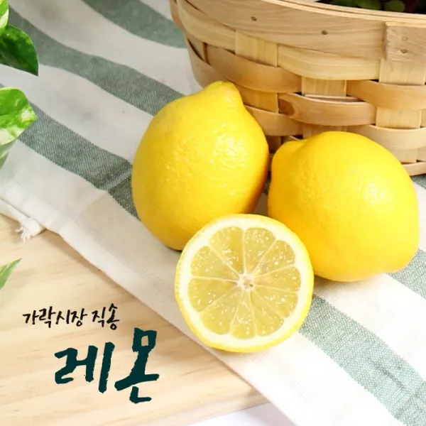 가락시장직송 레몬 20개 개당120g내외 단품