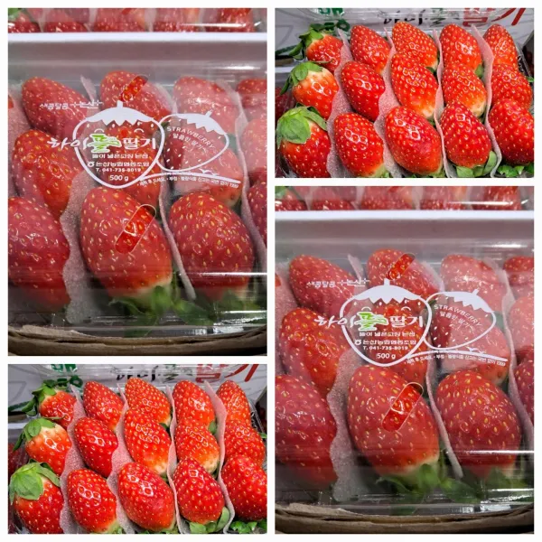 (과일천국1번지) 새콤달콤 생 딸기 (3*5), 1kg(2팩)