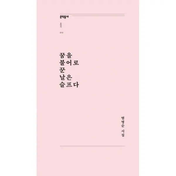꿈을 불어로 꾼 날은 슬프다