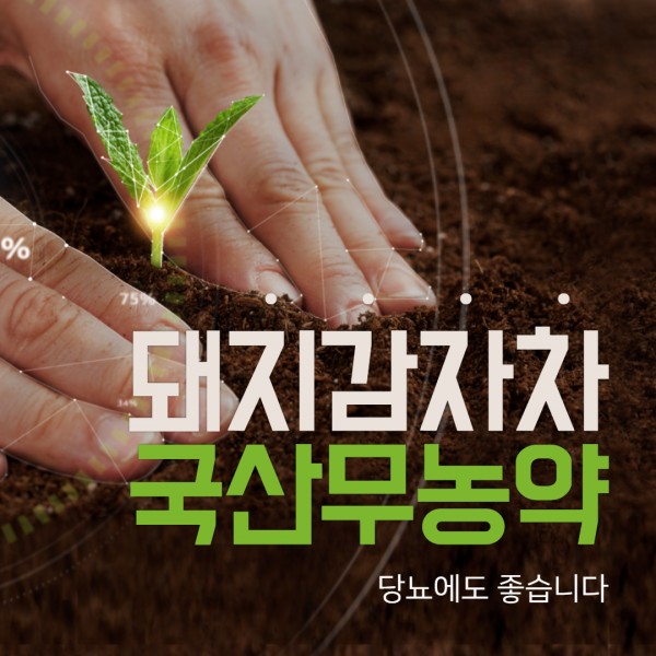 번짐 돼지감자차 돼지감자 무농약 국산100% 뚱딴지 티백 천연인슐린 효능 당뇨에좋은차 혈압낮추는음식 이눌린 토코페롤 말린 유기산 렙틴 즙 당뇨 여주 가루 먹는법 당뇨에좋은간식 요리 볶은돼지감자, 300g, 10개