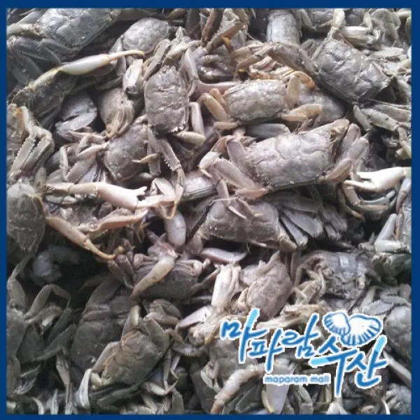 마파람수산 남해안생물칠게1kg, 1개, 1kg