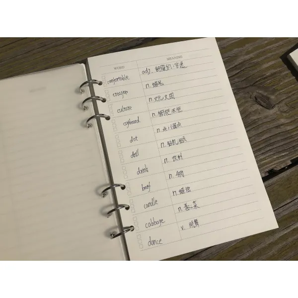 바인더 A5영어 단어 본워크북 가로줄 필기노트 기억 어휘 비고 열독 학생, T13-전횡선 루프리스 리필용 20구멍 100장