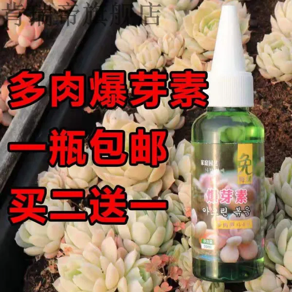 헬시윙 폭아소 세포분열소 곁눈 철화 양생 살을 찌우다 광채를더 구매하면 2 1추우천 150ml3 보