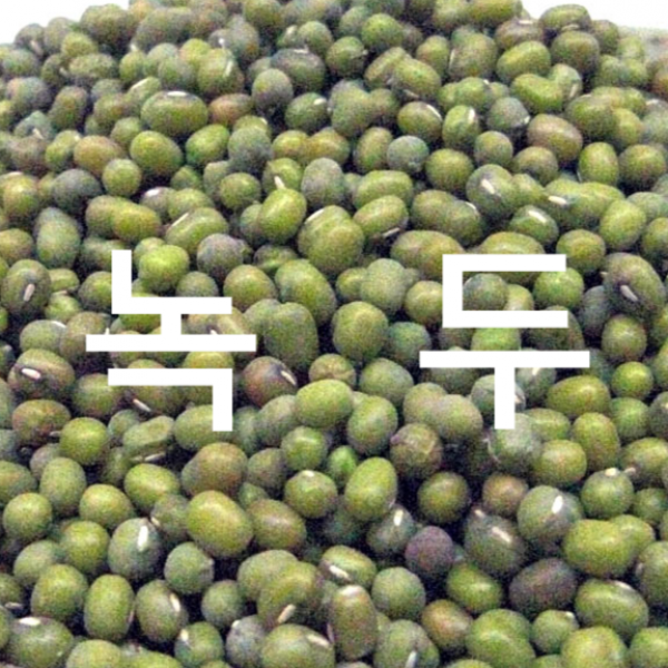 [후계자농산]수입 녹두 1kg 녹두전 녹두죽 돔부 효능