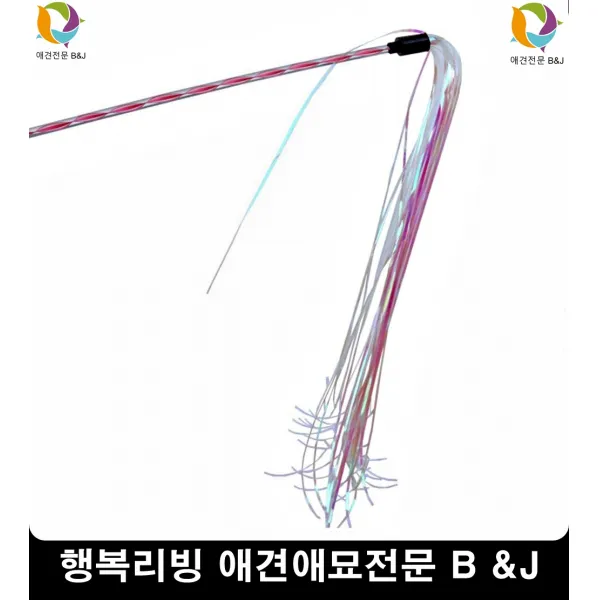 앞다리뒷다리쭉쭉늘려주는활동력증진 아기고양이장난감 새끼고양이장난감 고양이가좋아하는것, 1개