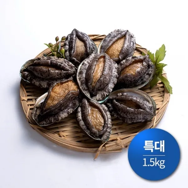 기삼전복 특대 1.5kg (1kg 당 8~9미 마리당 110g내외), 10000