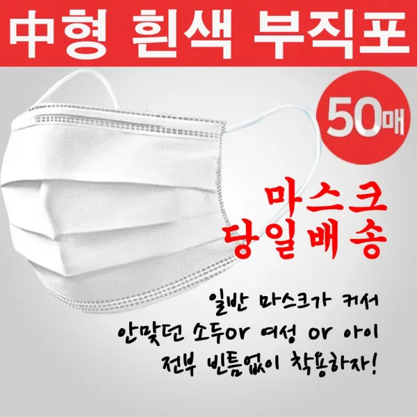 둥이와망고 배송비2500 당일발송 성인용 덴탈마스크 부직포 일회용마스크, 1매