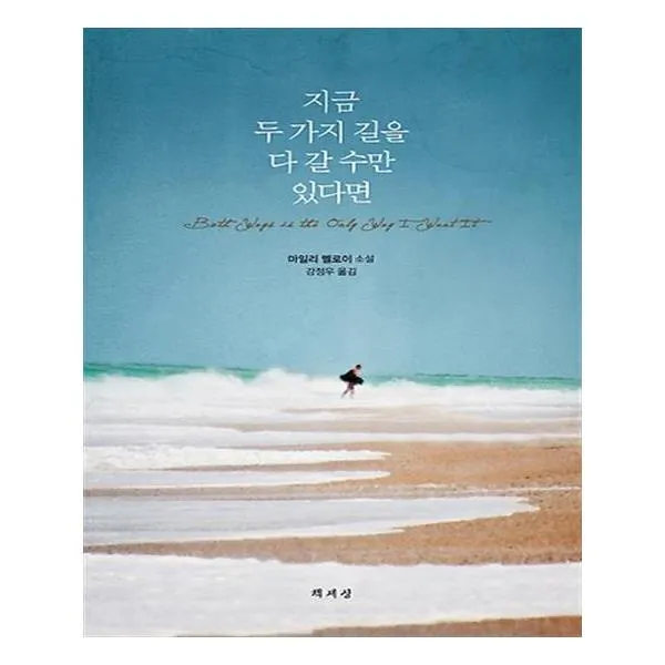 지금 두 가지 길을 다 갈 수만 있다면 책세상