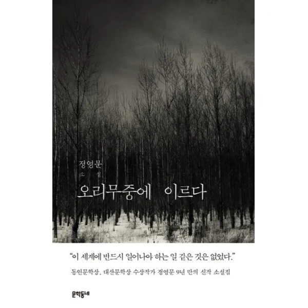 오리무중에 이르다:정영문 소설, 문학동네