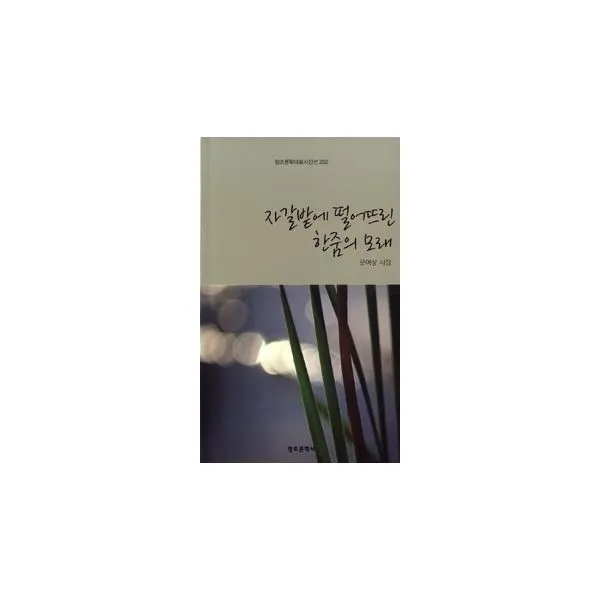 밀크북_2 자갈밭에 떨어뜨린 한줌의 모래, One color | One Size@1