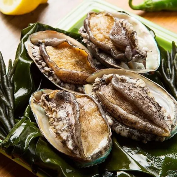 쇼핑은나의길 전남완도 산소포장으로 더욱 신선한 완도 활전복 8 9미 1kg 마리당115g내외 전복, 1