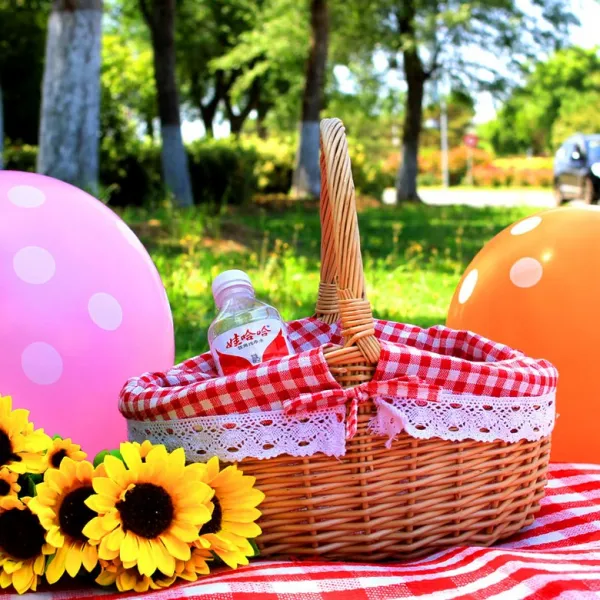 라탄 등나무 원목 바구니 사각 바구니 시장 바구니 야외 피크닉 바구니 등나무 정원인스 부티크 버드 나 단일옵션 로그 미달 + 레드 라이닝