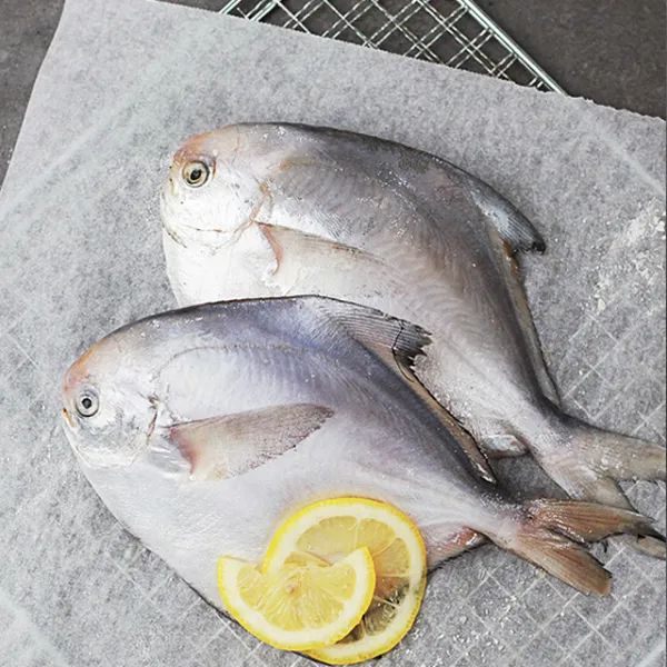 윤플러스 국내산 은병어 150g X2미 5팩 Haccp 인증 10마리