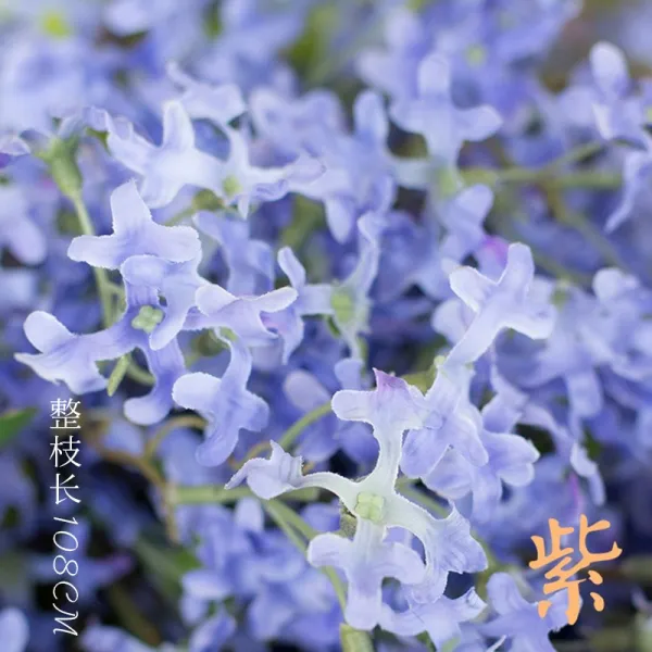 배수 십자 벚꽃 라이크 수제 로맨스 결혼기념일 명절 거실 침실 자색 한자루