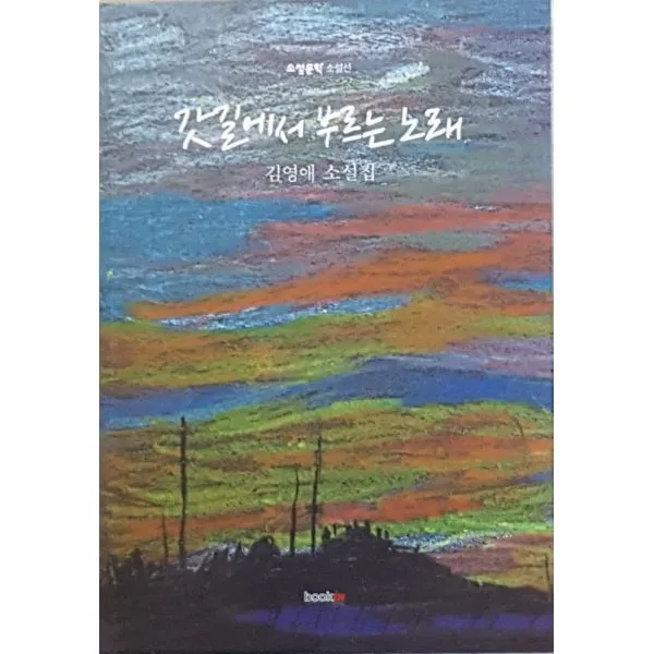 갓길에서 부르는 노래 : 김영애 소설집, 북인