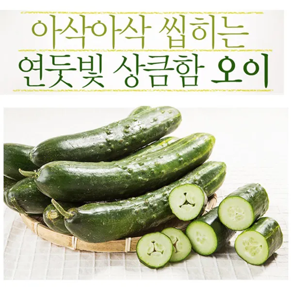 [익산원예농협] 취청오이 3kg(특), 1box