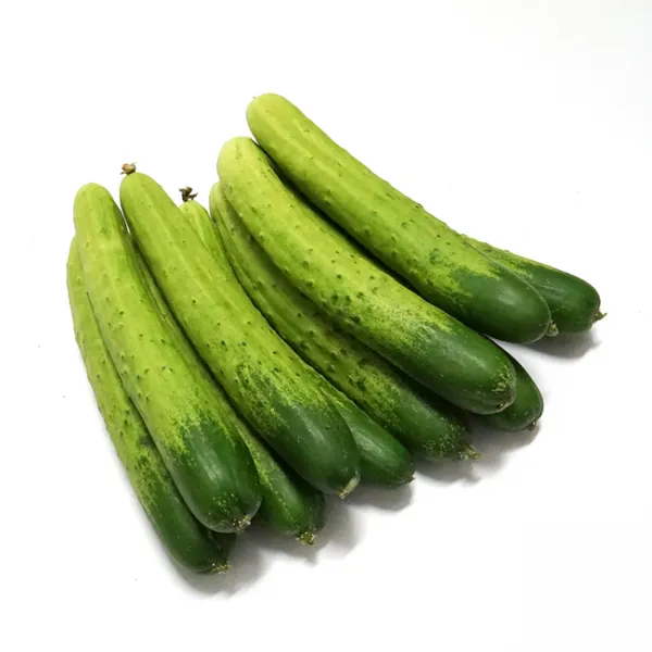 채소파는 가게 백다다기오이, 1팩, 10개